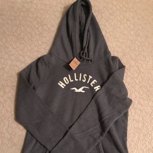 Hollister Sweatshirt